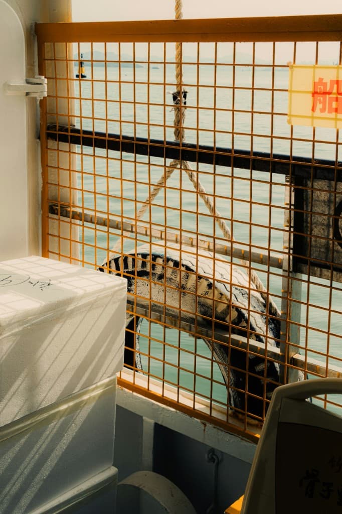 Looking through a ship railing at a lifebuoy